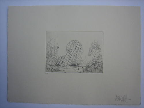 Vanitas Geo