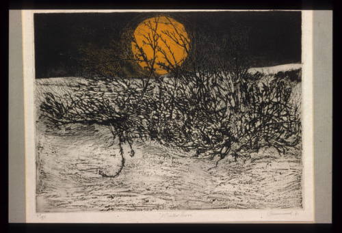 Winter Thorn