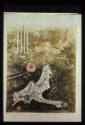 No 35 ( Les Delvies de la Grenouille)