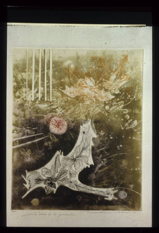 No 35 ( Les Delvies de la Grenouille)