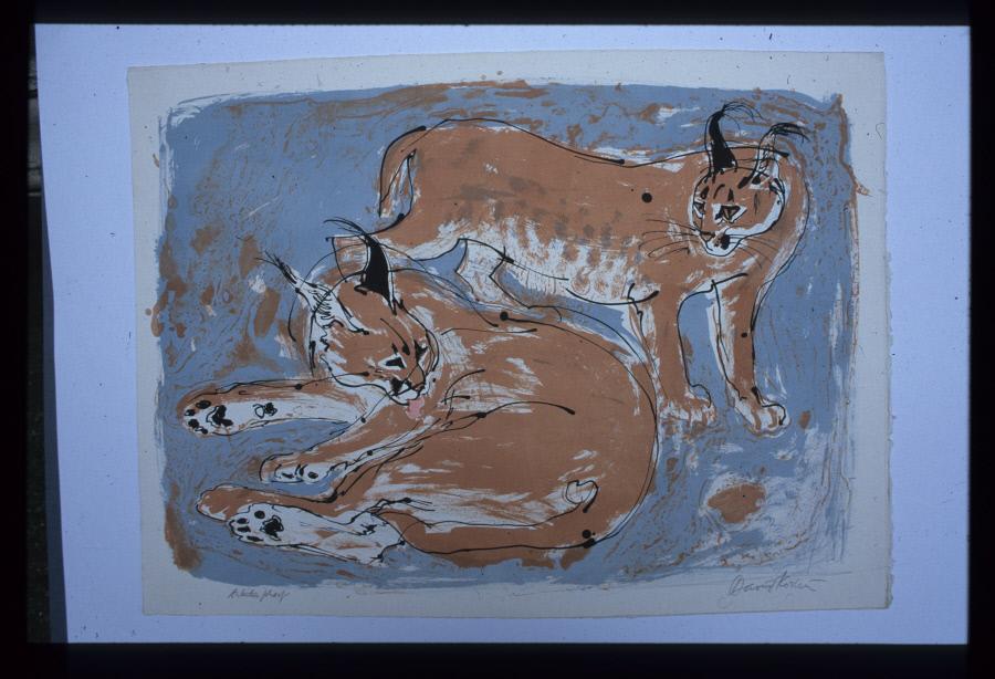 Carcal Lynxes (Artist's Proof) – Works – Southwark Heritage