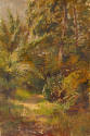 Through the Wood