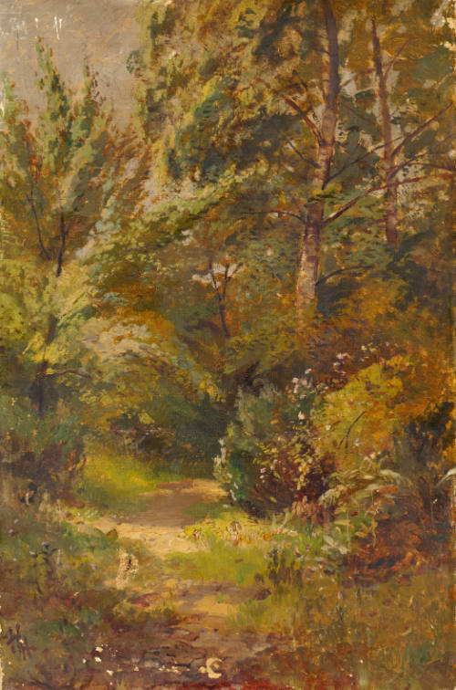 Through the Wood