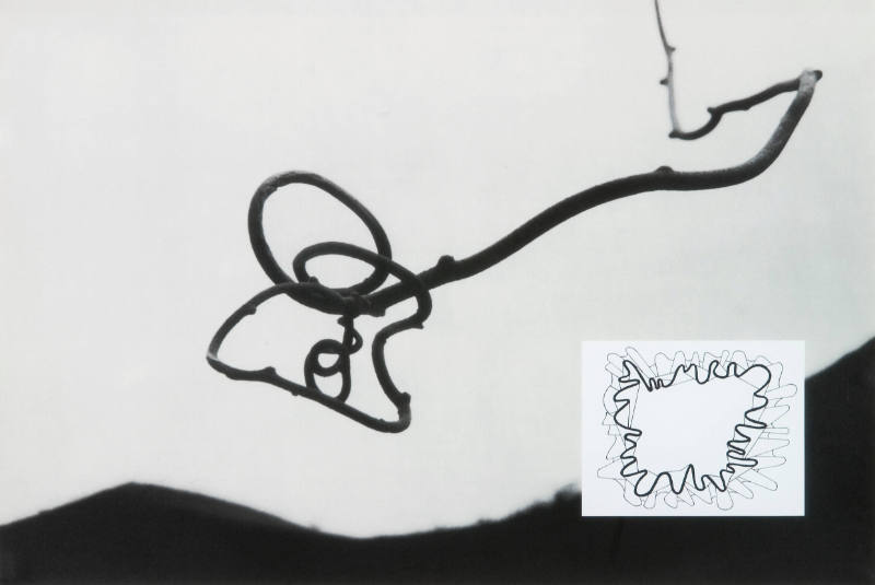 Show & Tell: Untitled . Twig & Sky