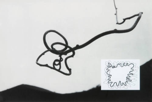 Show & Tell: Untitled . Twig & Sky