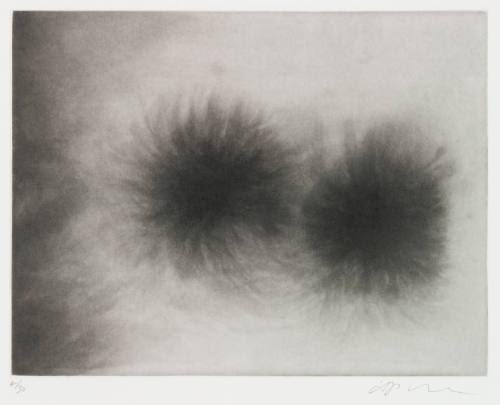Untitled (Two Greys and a shadow) 4/30