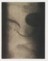 Untitled (Grey Shapes) 4/30