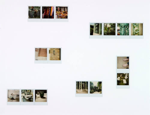 Pendulum Poloroids