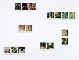 Pendulum Poloroids
