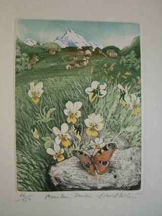 Mountain Daisies