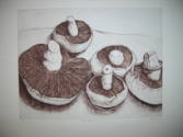 Field Mushrooms
