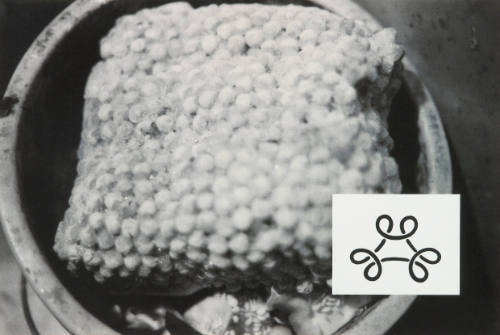Show & Tell: Untitled (corn in a pot)