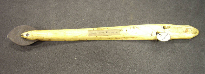 Harpoon