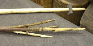 Fish-Spear