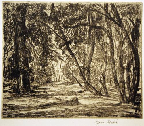 A Sussex Wood
