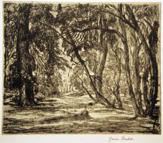 A Sussex Wood