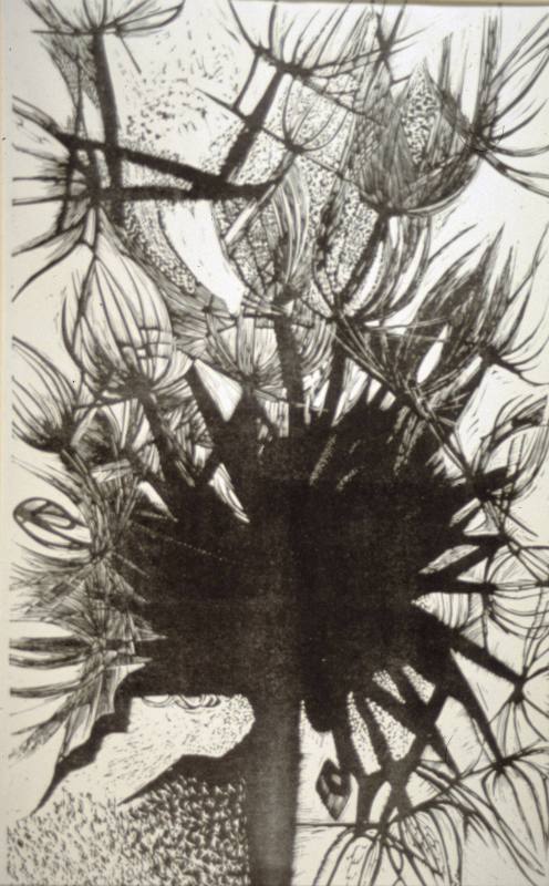 Dandelion 4