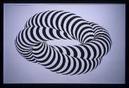Cycloid I