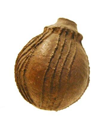 Snuff-Bottle