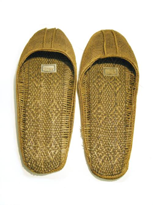 Shoe