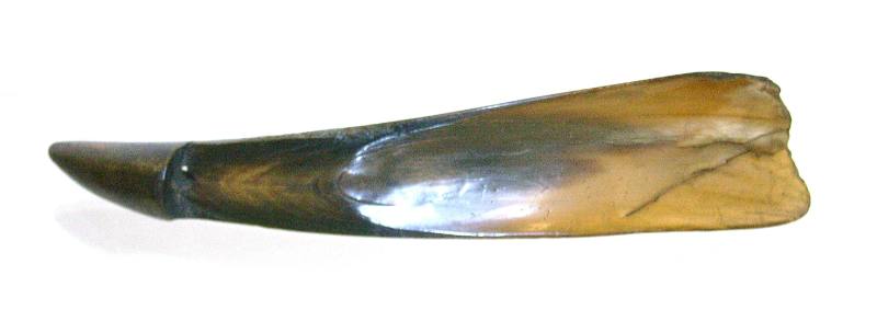 Shoe-Horn