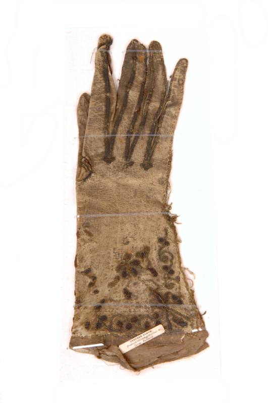 Glove