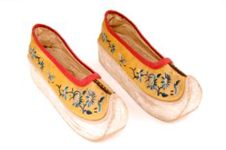 Shoe
