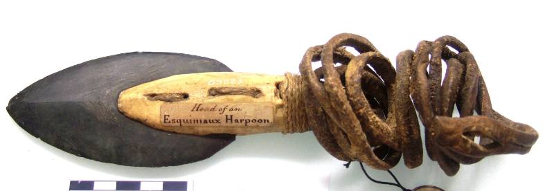 Harpoon-Dart