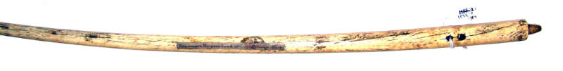 Harpoon