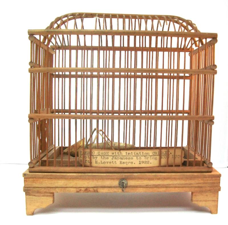 Cage