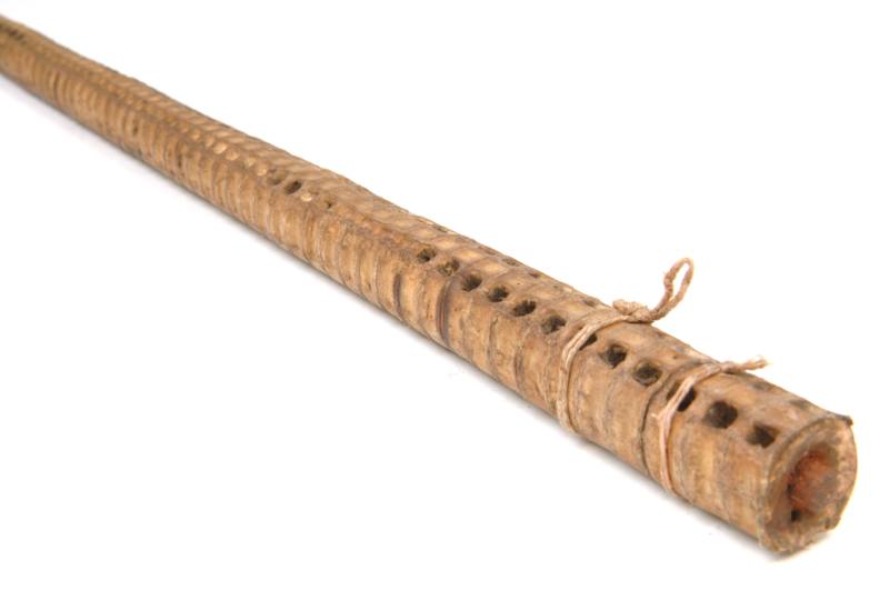 Walking-Stick