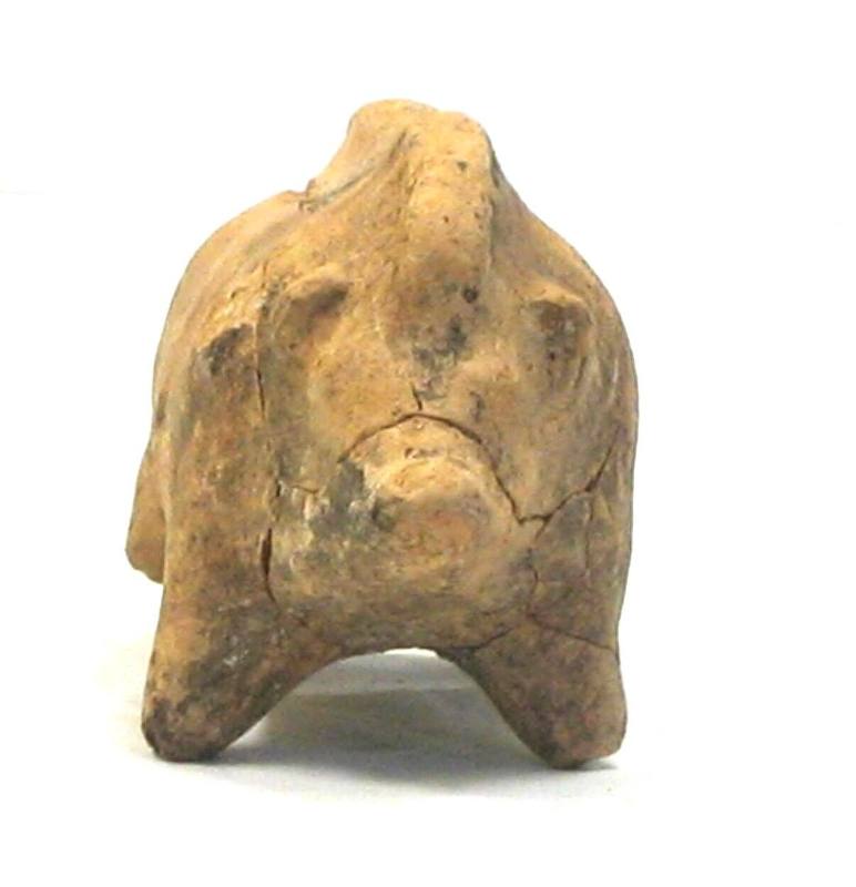 Model