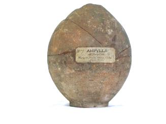 Ampulla