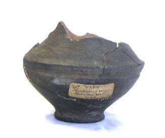 Olla