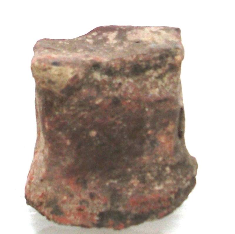 Fragment