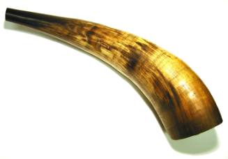 Horn