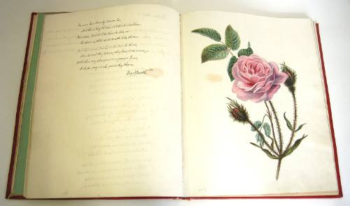 Sketch-Book