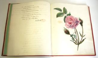 Sketch-Book