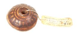 Spindle-Whorl