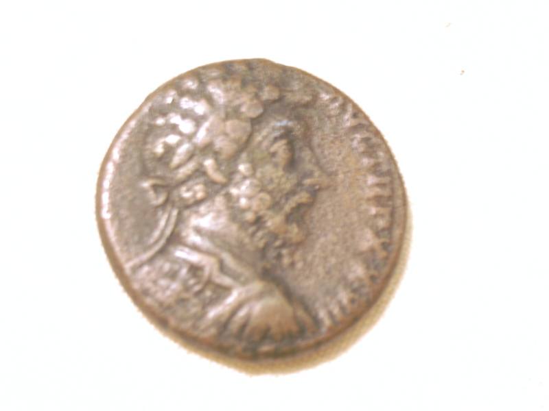 Coin