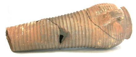 Amphora