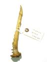 Antler