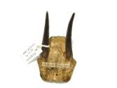 Antler