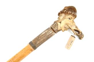 Walking-Stick