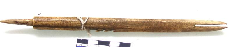 Harpoon-Head