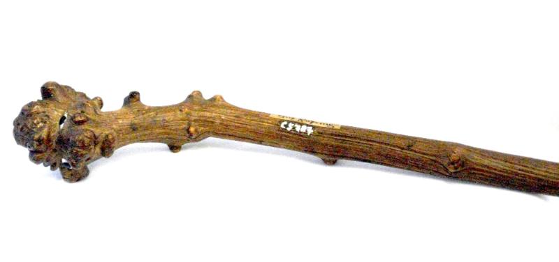 Walking-Stick