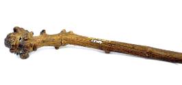 Walking-Stick