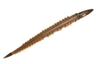 Weapon