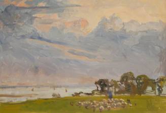 Sheep by Estuary