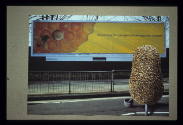 Poster to SLG exhibition: The Beekeeper (2001) - Discovering the Unexpected among the Ordinary